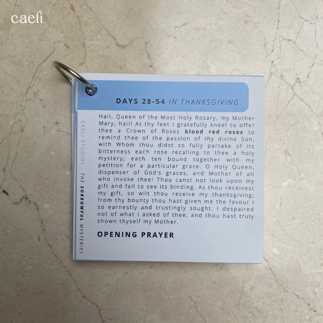 Pocket Prayers - 54 Day Rosary Novena | 27-Page Prayer Guide with Binding Ring | Comprehensive and Portable