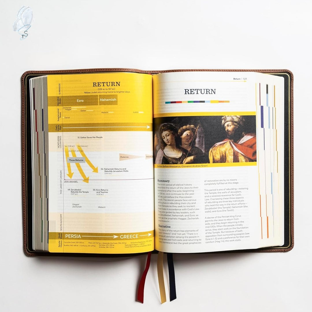 The Great Adventure Catholic Bible (2nd Edition, Leather bound)