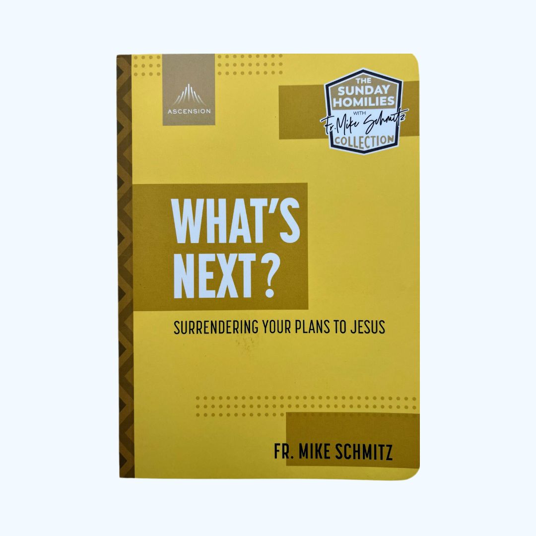 What's next? Surrendering your plans to Jesus - Fr Mike Schmitz