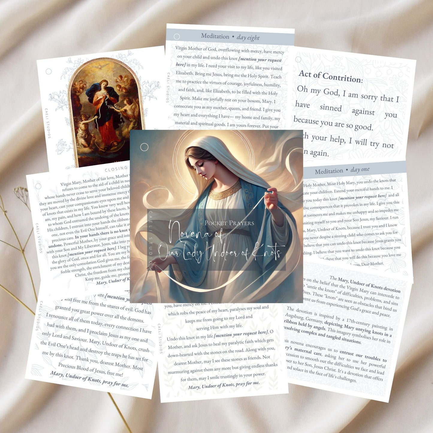Pocket Prayers - Our Lady Undoer of Knots Novena | 16-Page Guide with Binding Ring | Portable Prayers