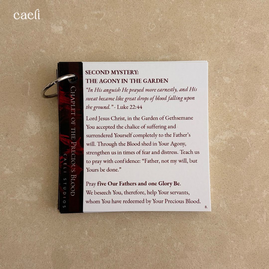 Pocket Prayers - The Precious Blood | 18-Page Guide with Binding Ring | Portable Prayers