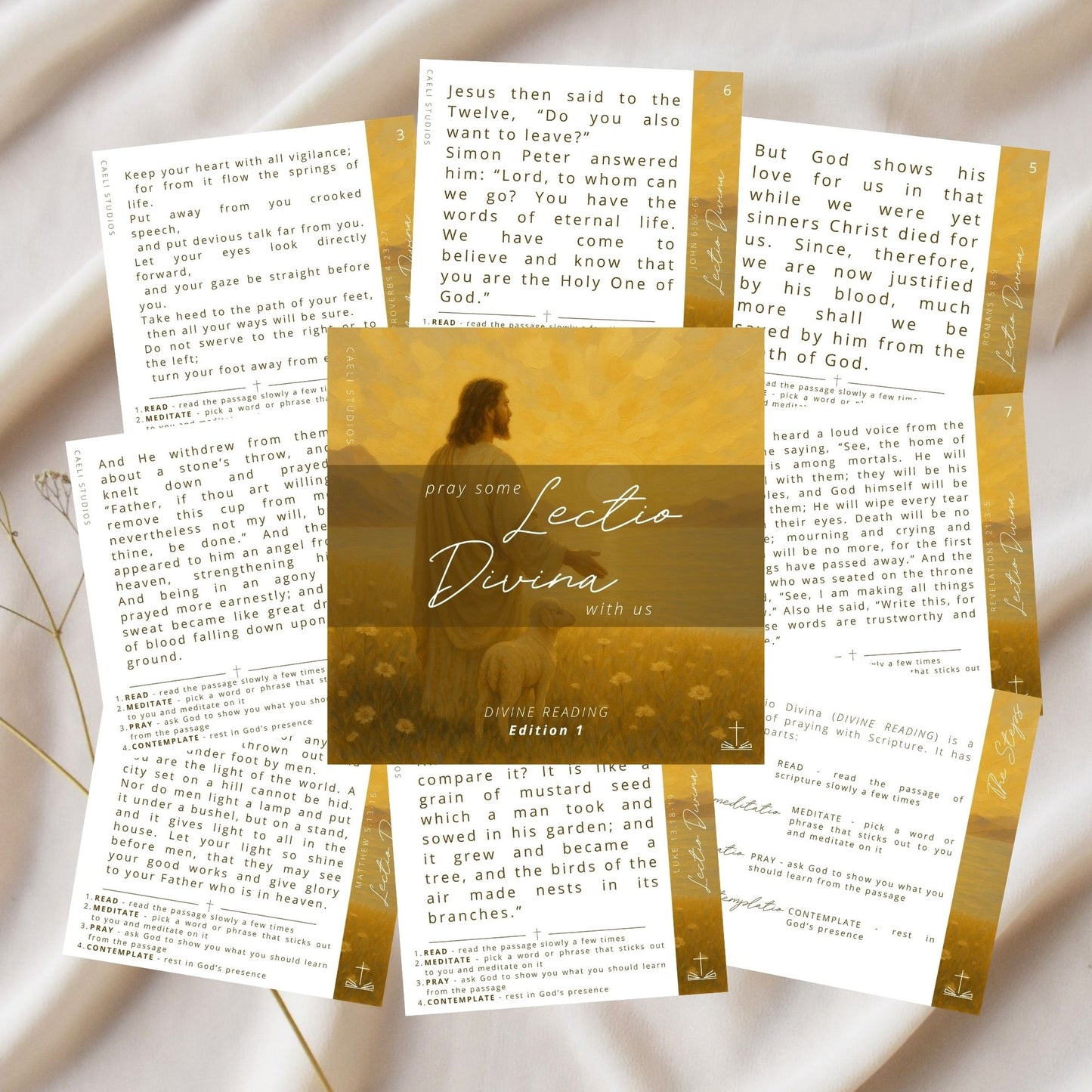 Pocket Prayers - Lectio Divina Scripture Set | Devotional with 30 Verses and Guide