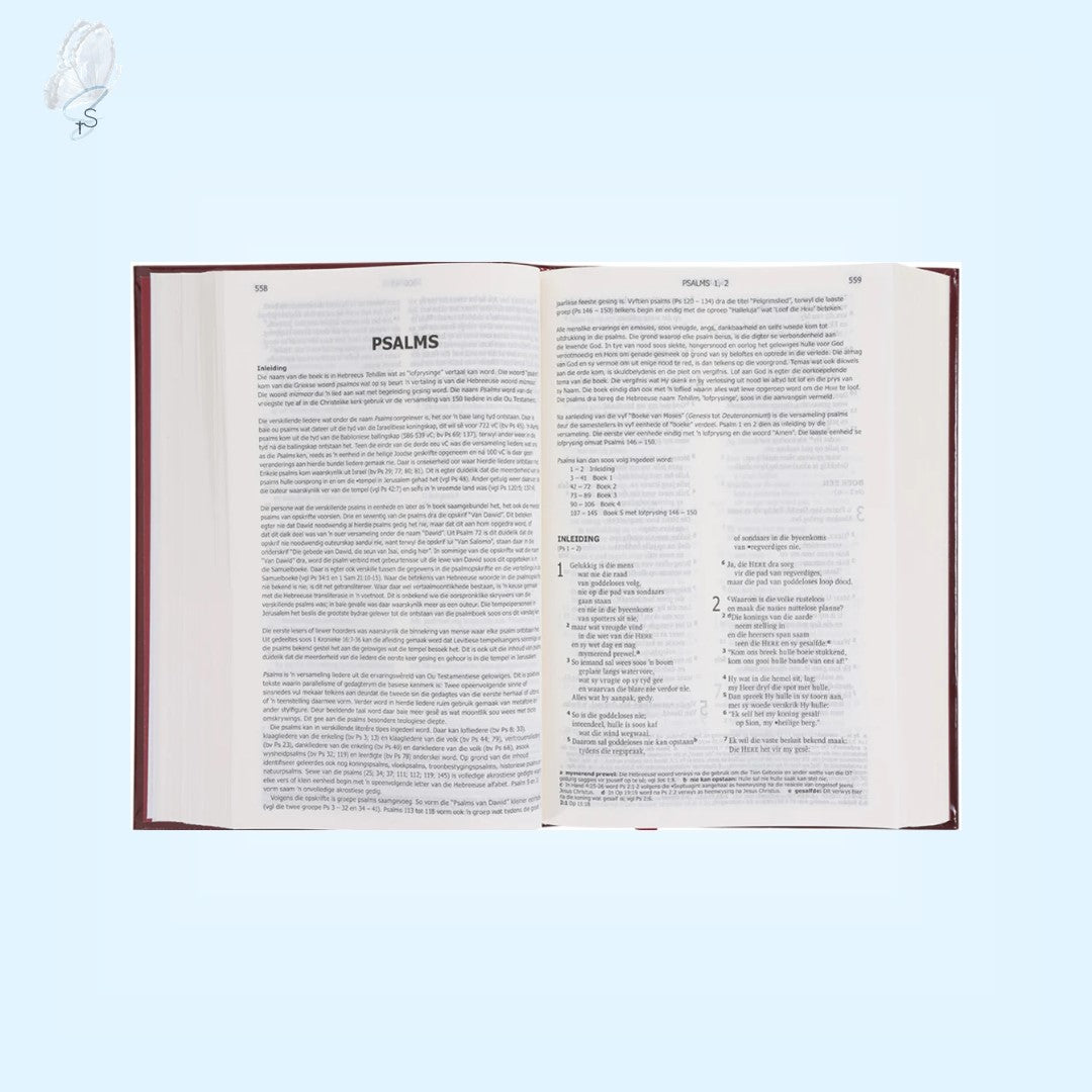 Die Bybel - Afrikaans Catholic Bible – 2020 Translation