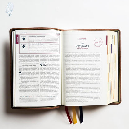 The Great Adventure Catholic Bible (2nd Edition, Leather bound)