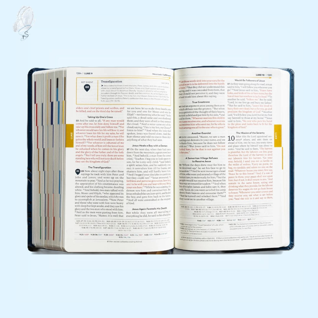 The Great Adventure Catholic Bible (2nd Edition, Leatherlike)
