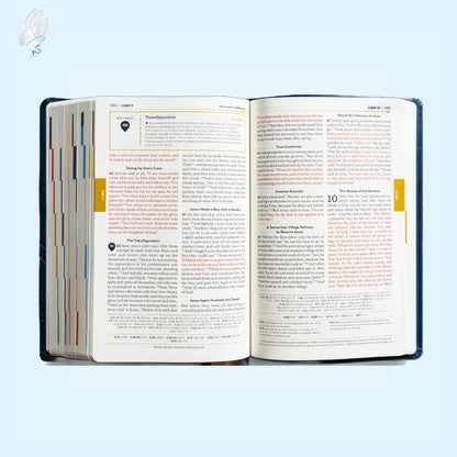 The Great Adventure Catholic Bible (2nd Edition, Leatherlike)
