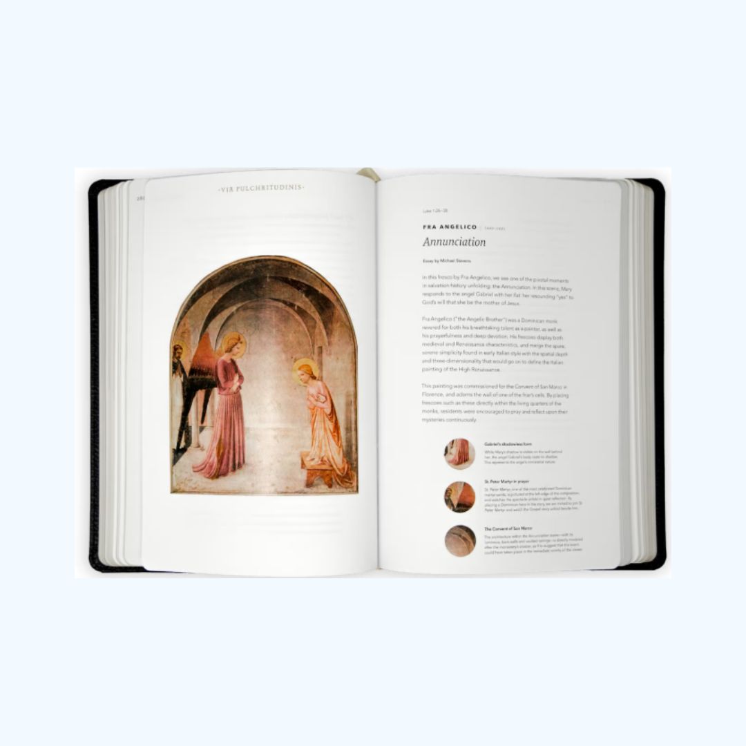 The Word on Fire Bible: The Gospels Volume 1 (Paperback)
