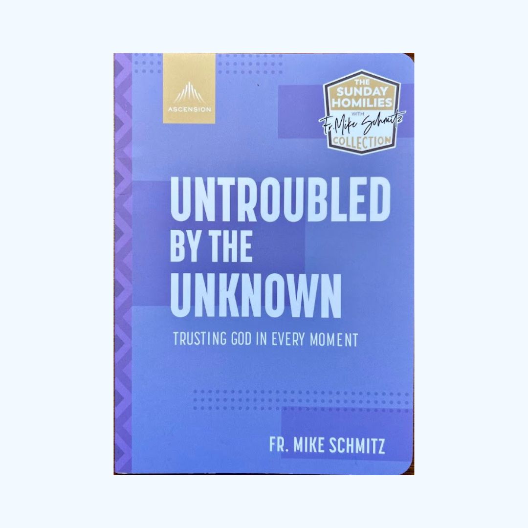 Untroubled by  the unknown - Trusting God in every moment - Fr Mike Schmitz - Ascension